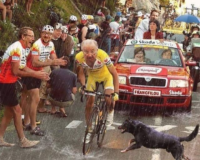 Les Belges au top du Tour de France 2022